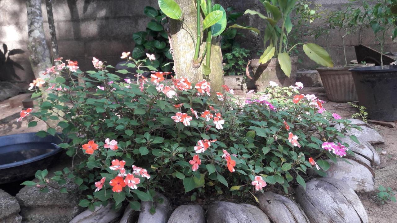 Villa Vidura Bataduwa Luaran gambar